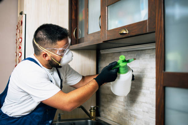 Best Insect Control  in Richlands, VA