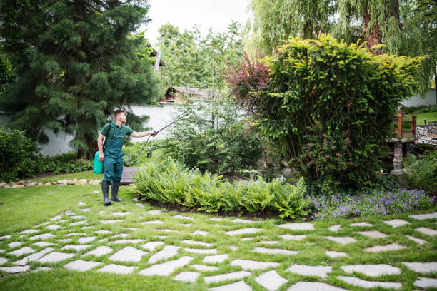 Best Mosquito Control Services  in Richlands, VA