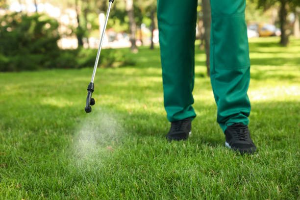 Best Affordable Pest Control Services  in Richlands, VA