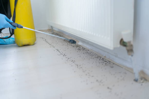 Best Pest Prevention Services  in Richlands, VA