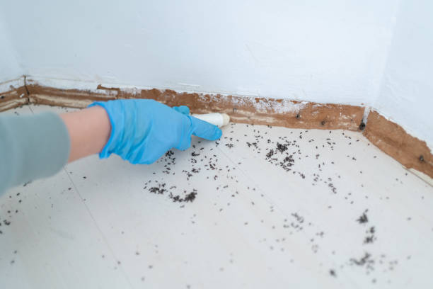 Pest Control Cost in Richlands, VA