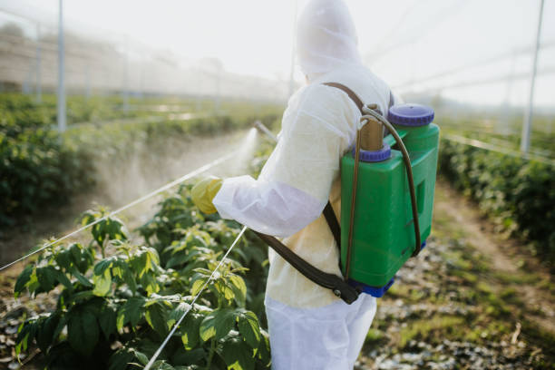Best Commercial Pest Control Services  in Richlands, VA